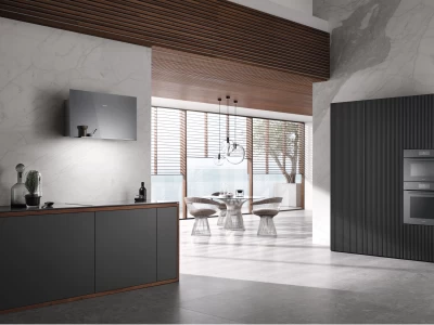 Miele DA 9092 W Screen grgr Fali páraelszívó