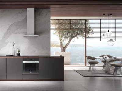 Miele DAW 1620 Active Fali páraelszívó